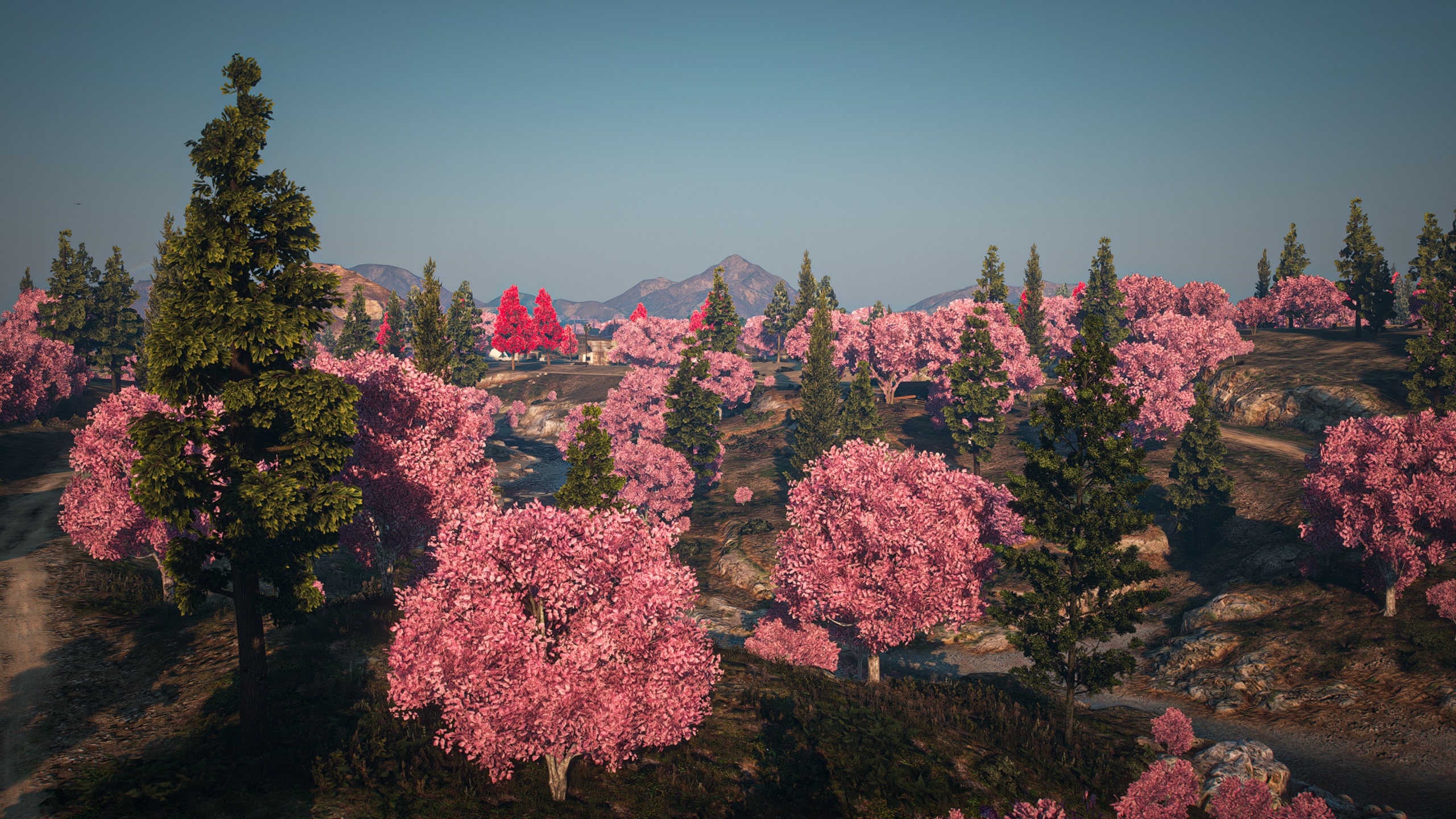 Forests of California • ⚙️ Improvements • 🗺️ Mapping — GTA 5 RP Redux