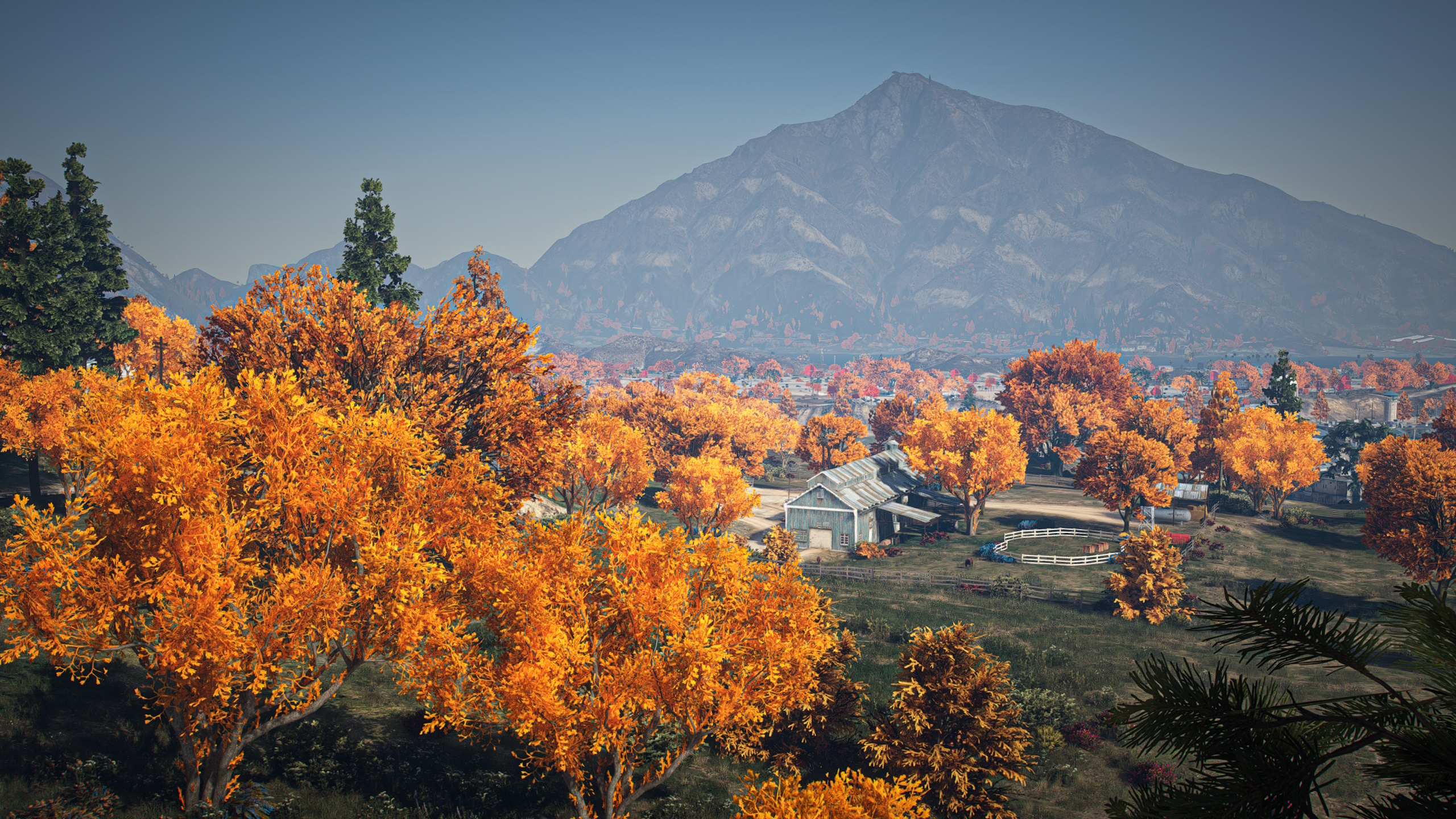 Forests of California • ⚙️ Improvements • 🗺️ Mapping — GTA 5 RP Redux