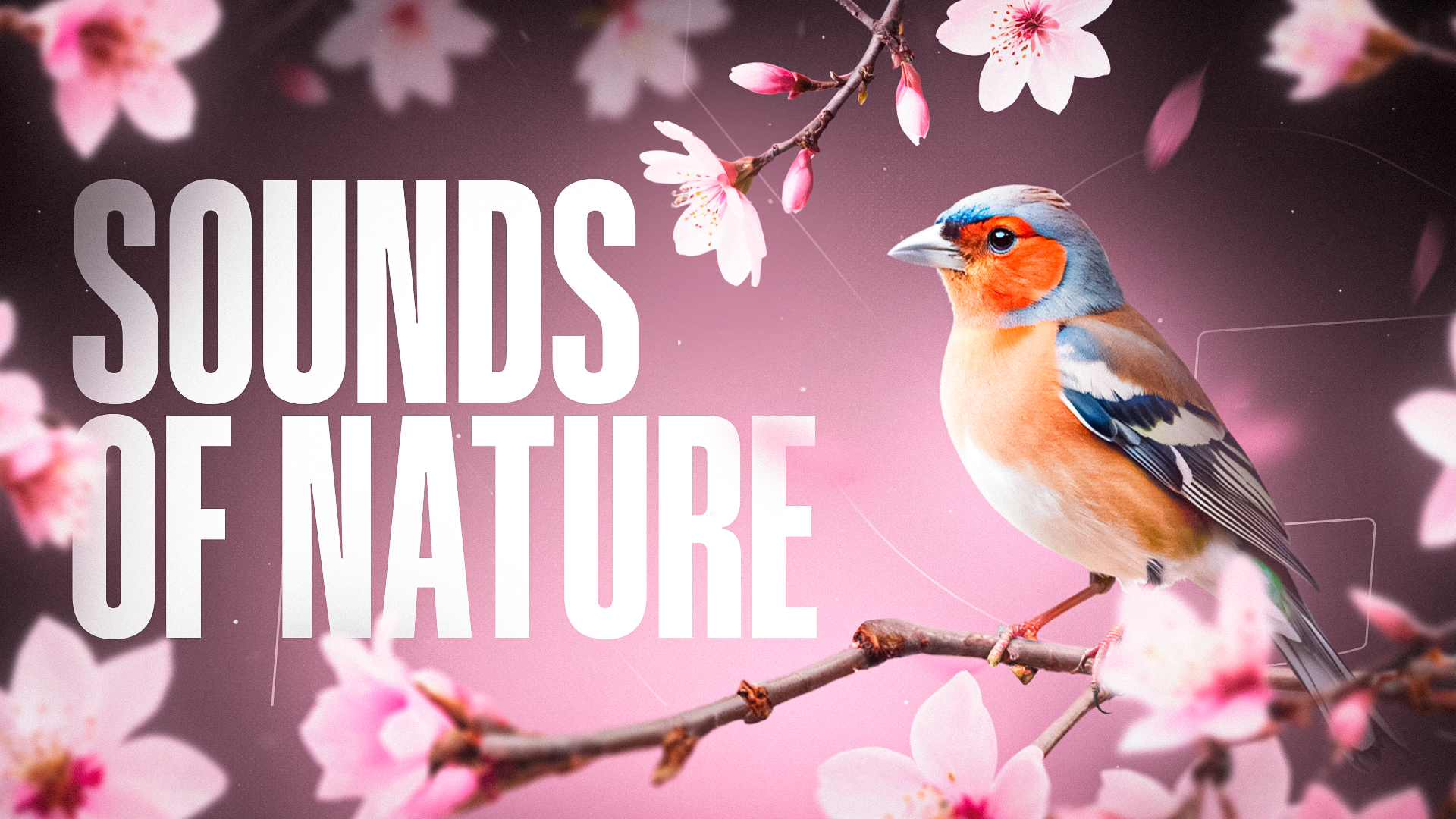 Sounds of Nature • 🔊 Sounds • 🌬️ Background noise — GTA 5 RP Redux